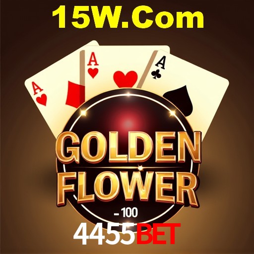 Interface Premium 4455Bet
